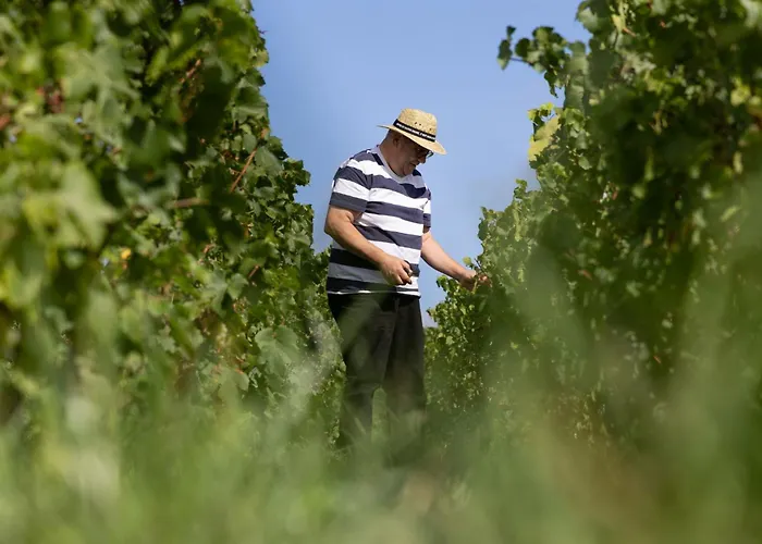 Pensión Les Randonneuses