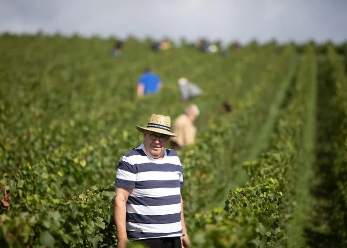 Pensión Les Randonneuses